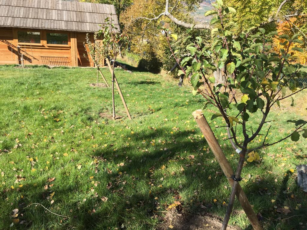 Saint-André-dʼEmbrun レ シャンブル ドレル Bed & Breakfast エクステリア 写真